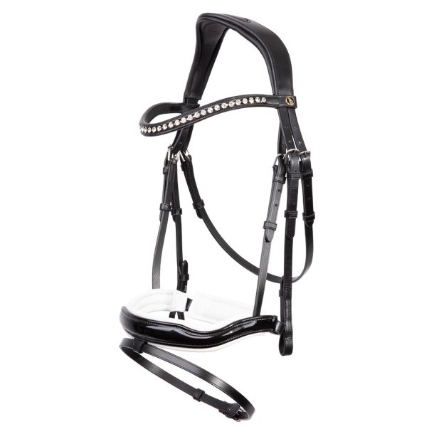 BR Bridle Bolton